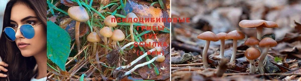 прущий лед Абинск