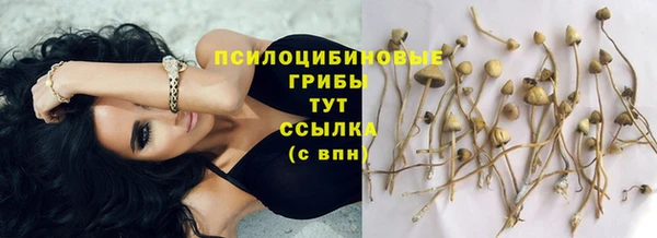 ешки Нефтекумск