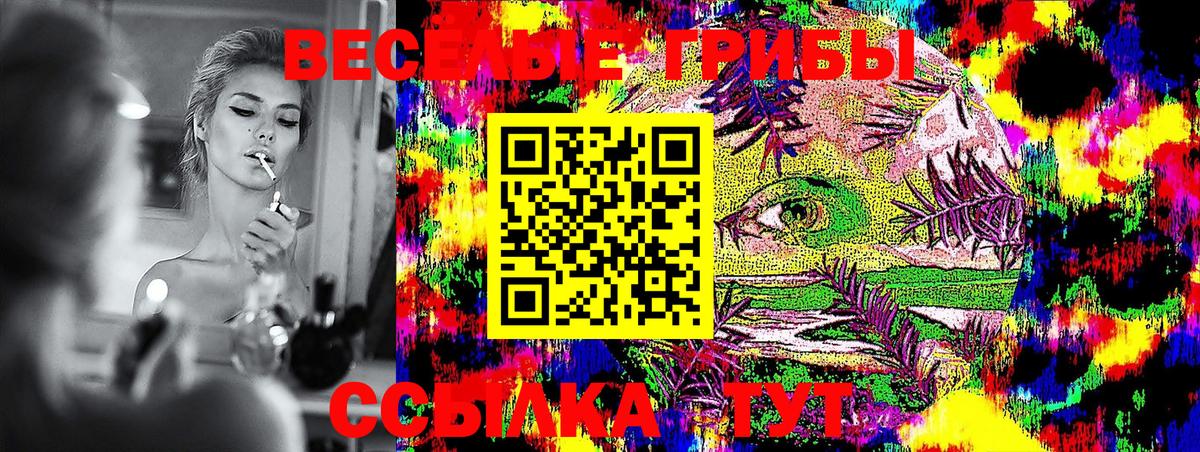 Галлюциногенные грибы Psilocybe Шали